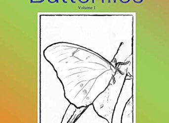 Sketch Effects: Butterflies: Coloring Book for Adults