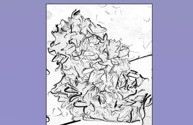 Sketch Effects: Lilacs – Volume 1: Coloring Books for Adults